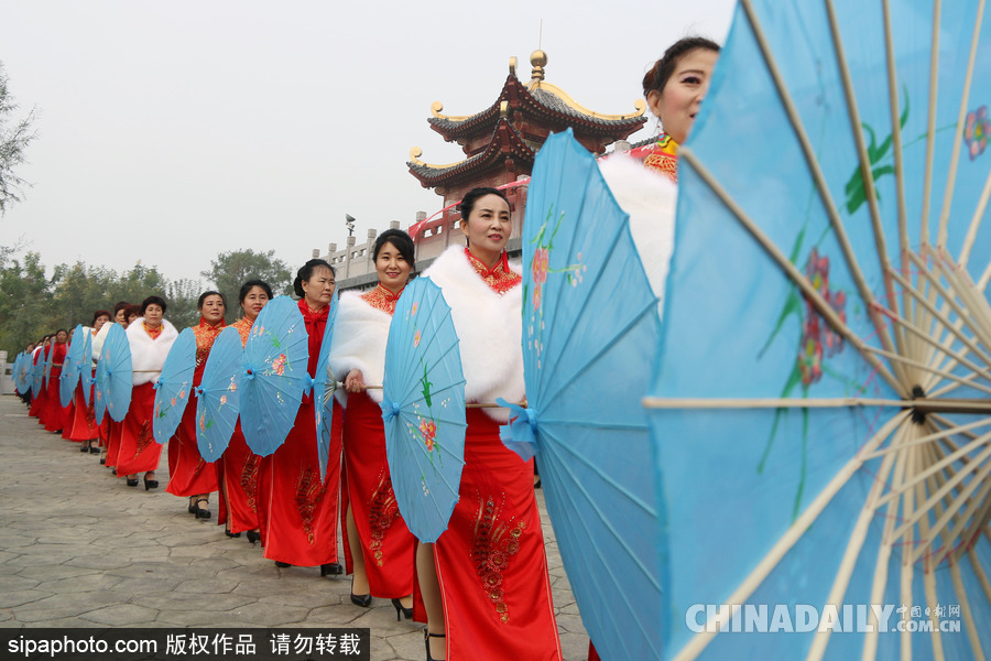 山東濱州：驚艷重陽(yáng)節(jié) 千名中老年旗袍愛好者走秀